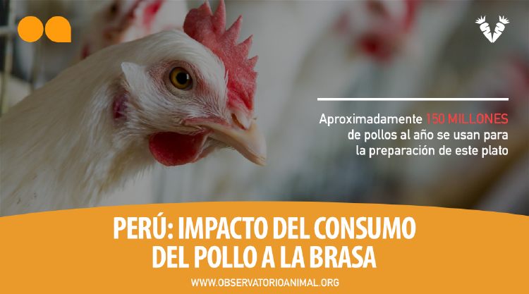 Foto: Vegetarianos Hoy Foto: Vegetarianos Hoy