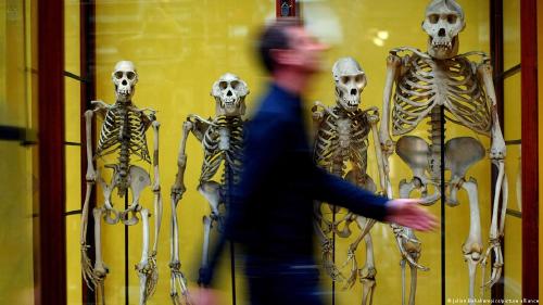 63115115_906 63115115_906