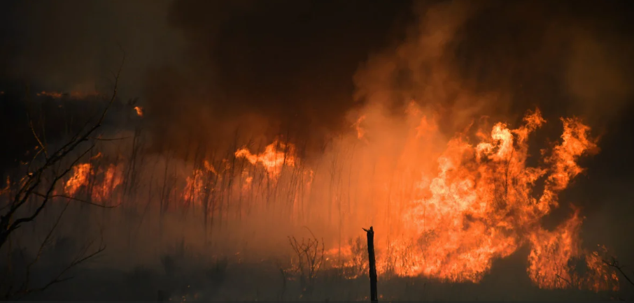 Foto: Juan José García Foto: Juan José García