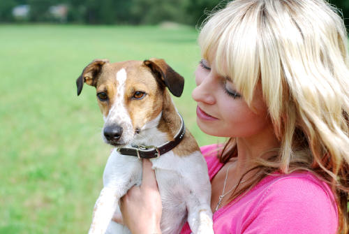 perros mujeres AdobeStock_35011981 perros mujeres AdobeStock_35011981