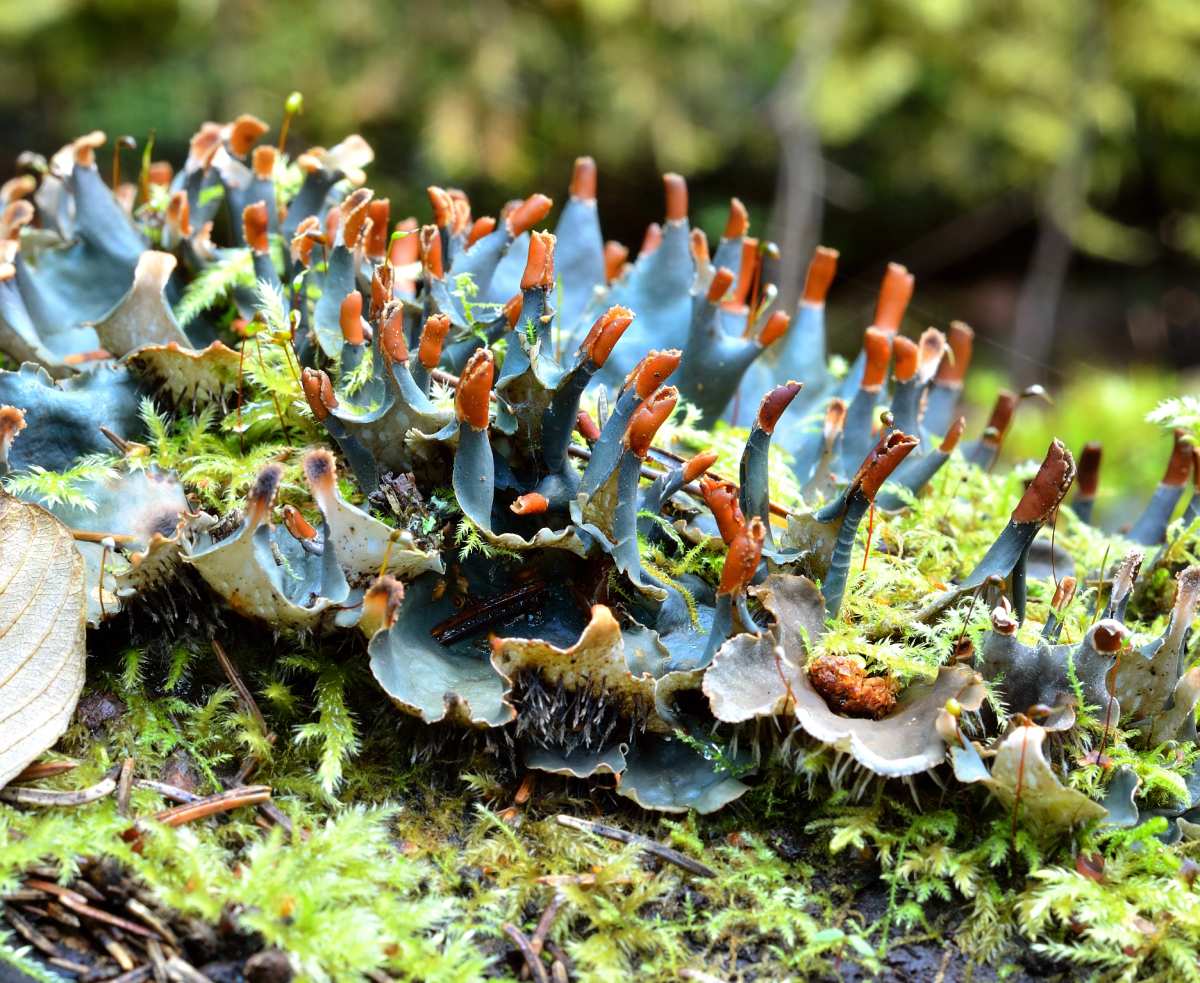 Depositphotos 32830223 XL (1) Depositphotos 32830223 XL (1)