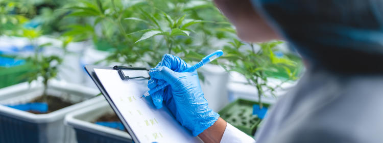 AdobeStock_540891799 AdobeStock_540891799