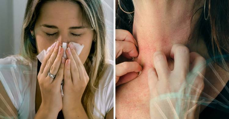 Qué significado emocional tienen las alergias según la biodescodificación Qué significado emocional tienen las alergias según la biodescodificación