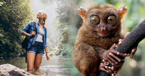 ayudar salvar ambiente viajas ecoturismo ayudar salvar ambiente viajas ecoturismo