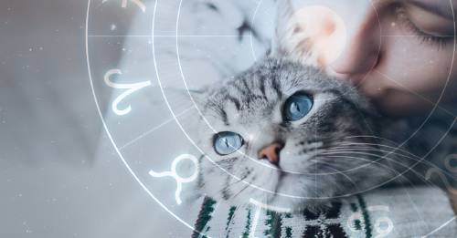 Los animales y el zodiaco: cómo es tu mascota según su signo