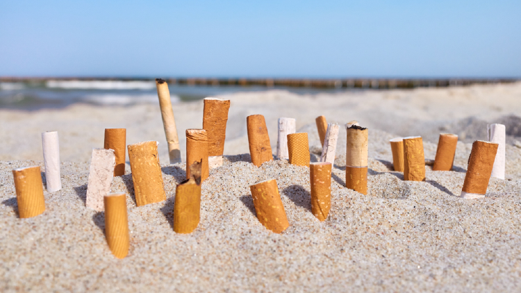 colillas cigarrillo playa colillas cigarrillo playa