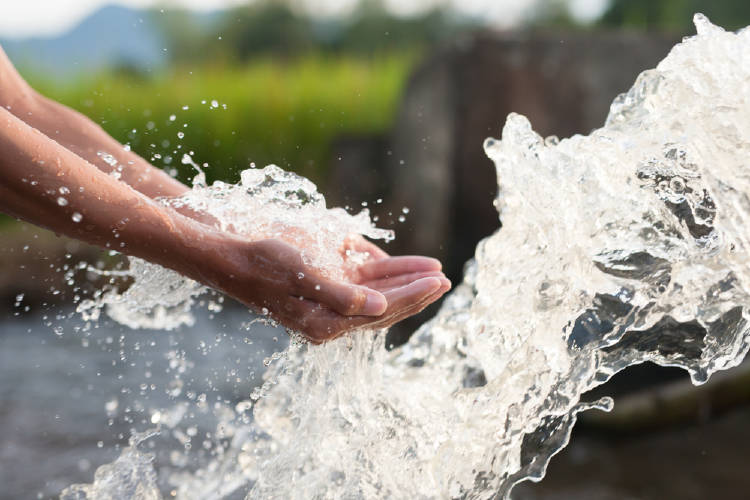 shutterstock_1092120824 bienes y servicios ambientales