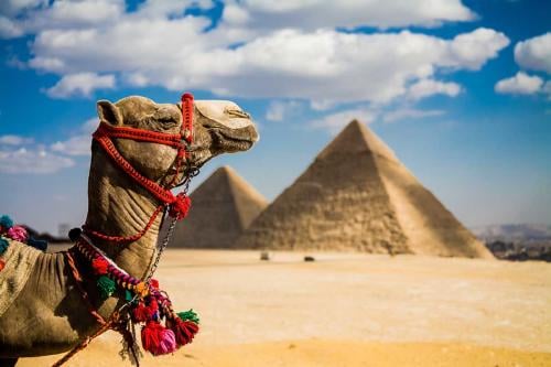 007 camello piramide